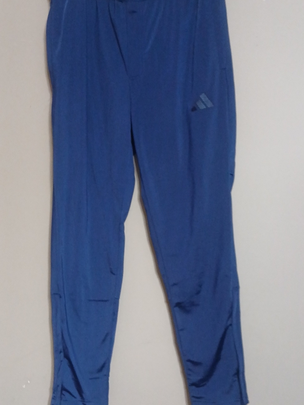 adidas Royal Blue Performance Track Pants